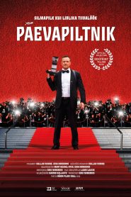 The Daily Photographer