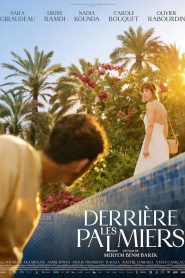 Behind the Palm Trees