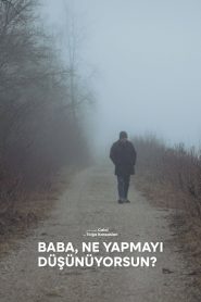 Baba, What’s Your Plan?