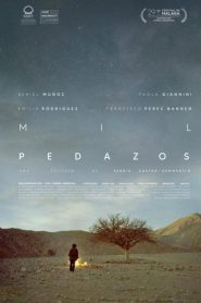 Mil pedazos