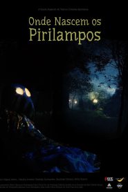 Where Fireflies Sparkle