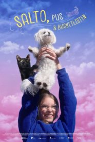 Small Dogs Bark Loud