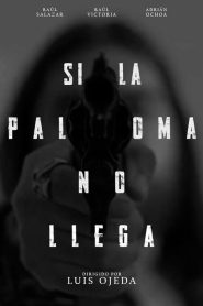 Si la paloma no llega