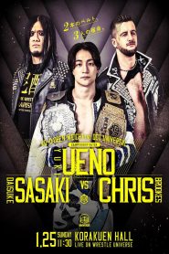 DDT Mission in Battle ~new year splendor~