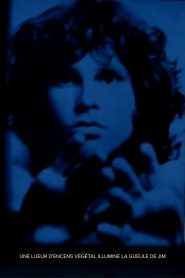 une lueur d’encens végétal illumine la gueule de jim