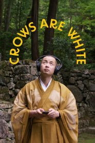 Crows Are White