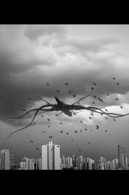 Quiet Apocalypse: I hope you’re ok