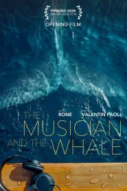 The Whale and the Musician
