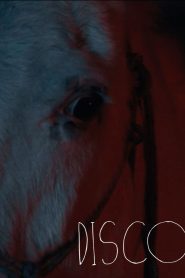 Disco