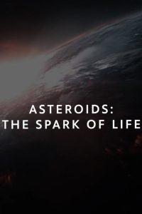 Asteroids: The Spark of Life?