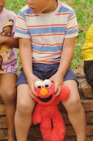 A Baby’s 1st Birthday