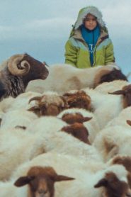 The Price of the Sun