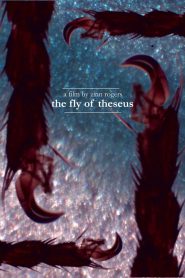 The Fly of Theseus