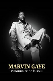 Marvin Gaye – Visionär des Soul