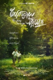 Far Away Close To You