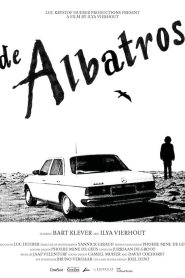 The Albatross