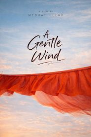 A Gentle Wind