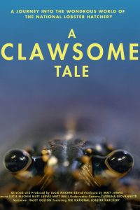 A Clawsome Tale