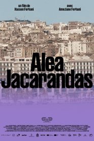 Alea Jacarandas
