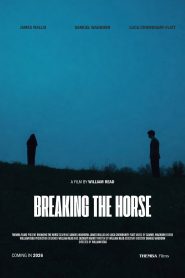 Breaking the Horse