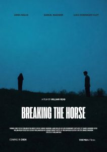 Breaking the Horse