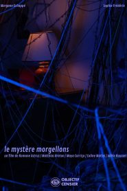 The Mystery of Morgellons