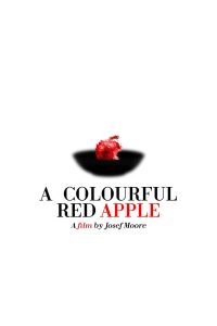A Colourful Red Apple