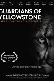 Guardians of Yellowstone: The Yellowstone Cougar Project