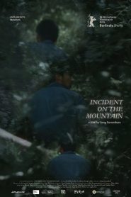 Incident on the Mountain