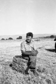 From Here to the Apple Tree