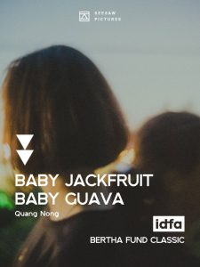 Baby Jackfruit Baby Guava