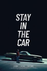 Stay in the car