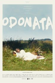 Odonata