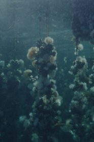 Concrete Turned to Sand