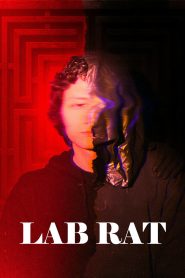 Lab Rat