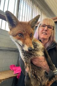 Secrets of the Southwest: Science Behind the Secrets