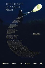 The Illusion of a Quiet Night