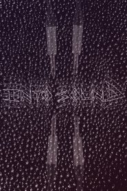 Into Sound