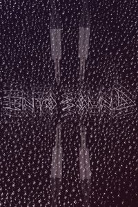 Into Sound
