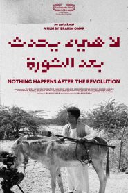 Nothing Happens After the Revolution