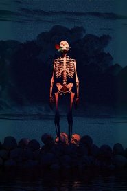 The Prayer of The Rose