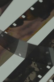 Erotic Blossoms In A Dream