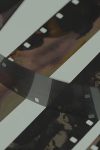 Erotic Blossoms In A Dream