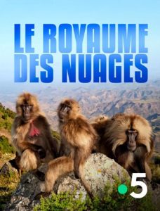 Le royaume des nuages