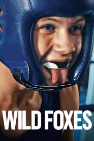 Wild Foxes