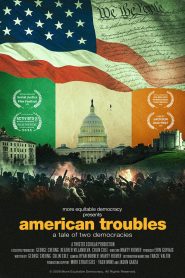 American Troubles: A Tale of Two Democracies