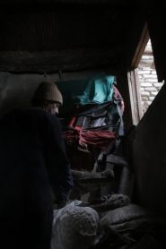 The Cow’s Complaint