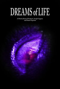 Dreams of Life