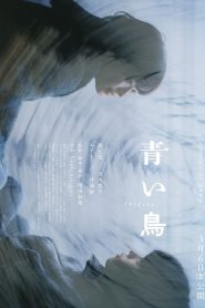 青い鳥