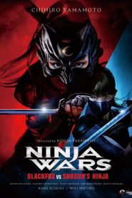 Ninja Wars – Black Fox vs Shogun’s Ninja